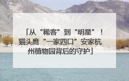 从“稀客”到“明星”！猫头鹰“一家四口”安家杭州植物园背后的守护