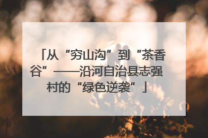 从“穷山沟”到“茶香谷”——沿河自治县志强村的“绿色逆袭”
