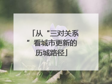 从“三对关系”看城市更新的历城路径