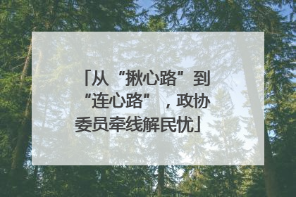 从“揪心路”到“连心路”，政协委员牵线解民忧