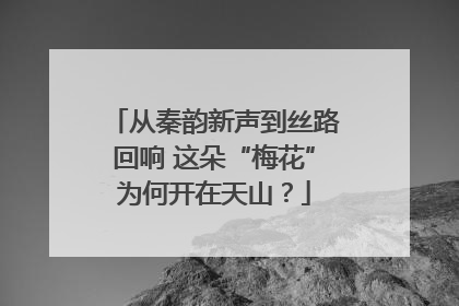 从秦韵新声到丝路回响 这朵“梅花”为何开在天山？