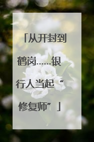 从开封到鹤岗……银行人当起“修复师”