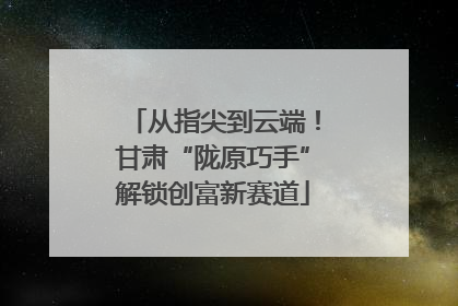 从指尖到云端！甘肃“陇原巧手”解锁创富新赛道