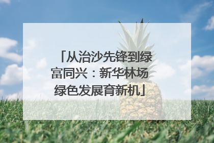 从治沙先锋到绿富同兴：新华林场绿色发展育新机
