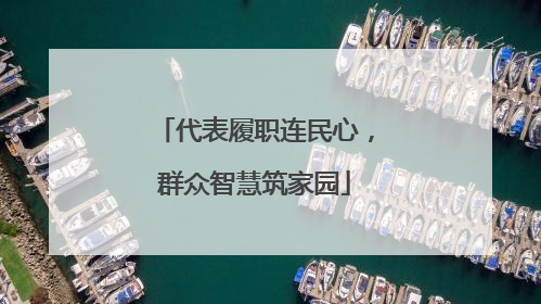 代表履职连民心，群众智慧筑家园