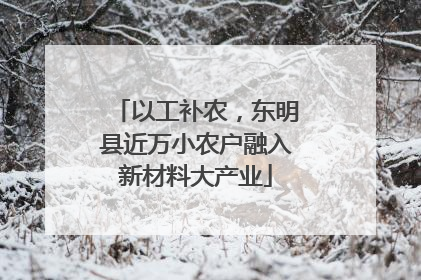 以工补农，东明县近万小农户融入新材料大产业