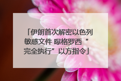 伊朗首次解密以色列敏感文件 曝格罗西“完全执行”以方指令