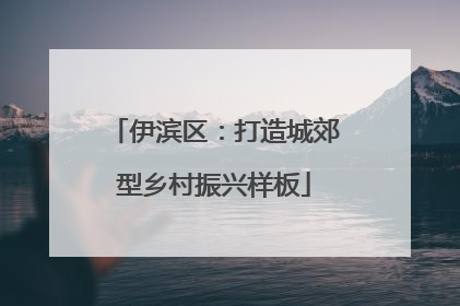 伊滨区：打造城郊型乡村振兴样板
