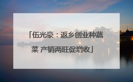 伍光豪：返乡创业种蔬菜 产销两旺促增收