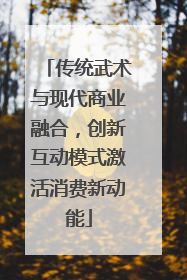 传统武术与现代商业融合，创新互动模式激活消费新动能
