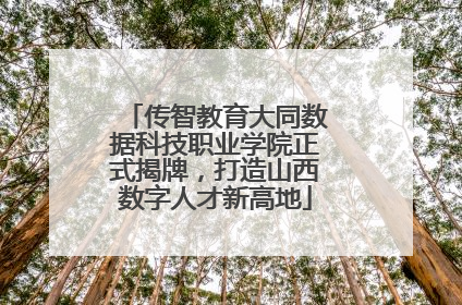 传智教育大同数据科技职业学院正式揭牌，打造山西数字人才新高地
