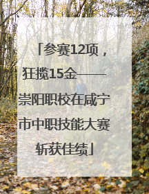 参赛12项，狂揽15金——崇阳职校在咸宁市中职技能大赛斩获佳绩