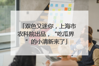 双色又迷你，上海市农科院出品，“吃瓜界”的小清新来了