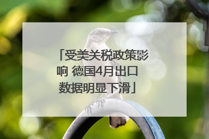 受美关税政策影响 德国4月出口数据明显下滑