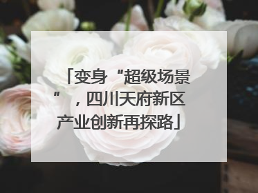 变身“超级场景”，四川天府新区产业创新再探路