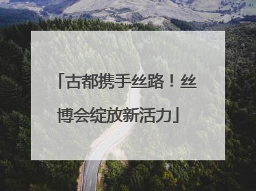 古都携手丝路！丝博会绽放新活力