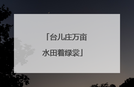 台儿庄万亩水田着绿裳