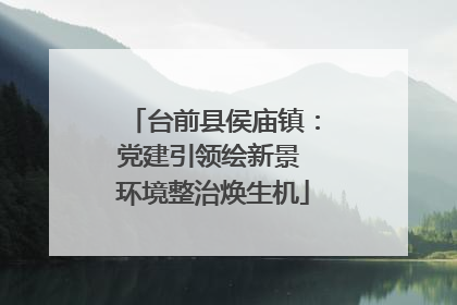 台前县侯庙镇：党建引领绘新景 环境整治焕生机