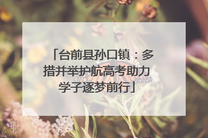 台前县孙口镇：多措并举护航高考助力学子逐梦前行