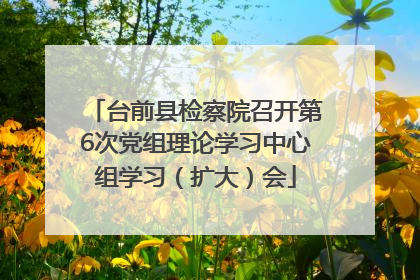 台前县检察院召开第6次党组理论学习中心组学习（扩大）会