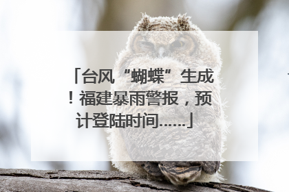 台风“蝴蝶”生成！福建暴雨警报，预计登陆时间……