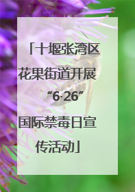 十堰张湾区花果街道开展“6·26”国际禁毒日宣传活动