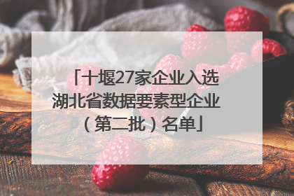 十堰27家企业入选湖北省数据要素型企业（第二批）名单