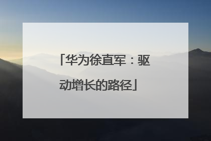 华为徐直军：驱动增长的路径