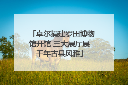 卓尔捐建罗田博物馆开馆 三大展厅展千年古县风雅