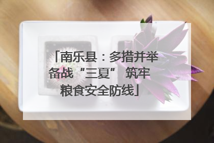 南乐县：多措并举备战“三夏” 筑牢粮食安全防线