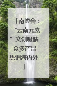 南博会：“云南元素”文创吸睛 众多产品热销海内外