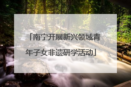 南宁开展新兴领域青年子女非遗研学活动