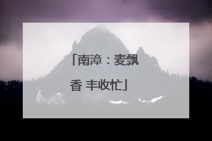 南漳：麦飘香 丰收忙
