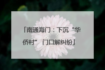 南通海门：下沉“华侨村” 门口解纠纷