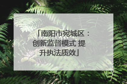 南阳市宛城区：创新监督模式 提升执法质效