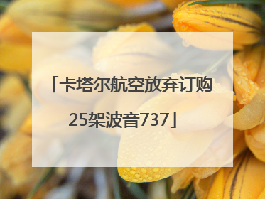 卡塔尔航空放弃订购25架波音737