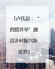 卢氏县：“四措并举”激活乡村振兴新优势