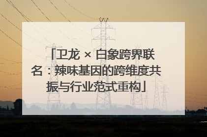 卫龙 × 白象跨界联名：辣味基因的跨维度共振与行业范式重构
