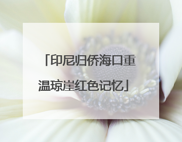 印尼归侨海口重温琼崖红色记忆