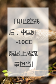印巴空战后，中国歼-10CE航展上成流量担当