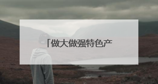 做大做强特色产业 奏响乡村振兴“富民曲”