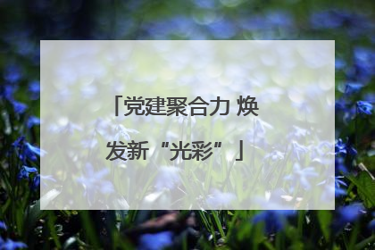 党建聚合力 焕发新“光彩”