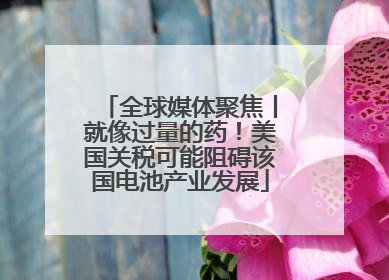 全球媒体聚焦丨就像过量的药！美国关税可能阻碍该国电池产业发展