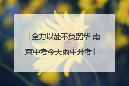 全力以赴不负韶华 南京中考今天雨中开考