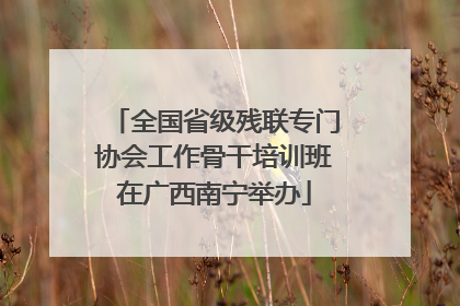全国省级残联专门协会工作骨干培训班在广西南宁举办