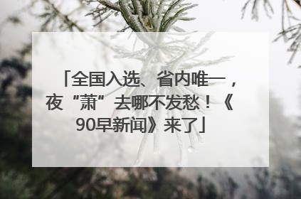 全国入选、省内唯一，夜“萧”去哪不发愁！《90早新闻》来了