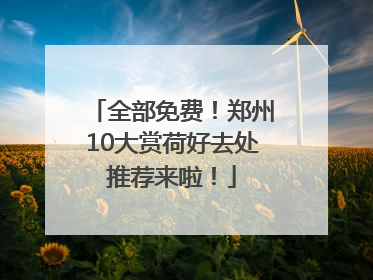 全部免费！郑州10大赏荷好去处推荐来啦！