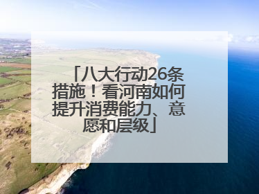 八大行动26条措施！看河南如何提升消费能力、意愿和层级