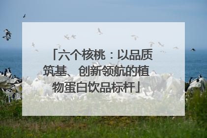 六个核桃：以品质筑基、创新领航的植物蛋白饮品标杆