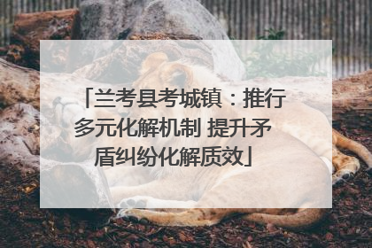 兰考县考城镇：推行多元化解机制 提升矛盾纠纷化解质效